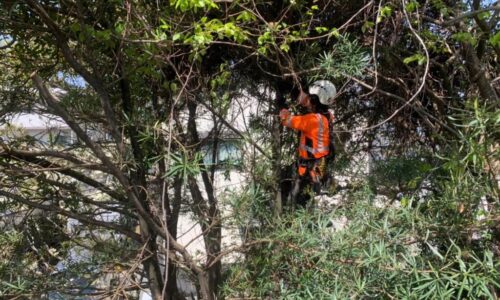 LINE_ALBUM_久本寺　中央区薬園町_220418_13